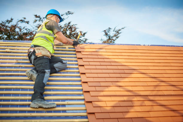 Best Roof Insulation Installation  in Brownfield, TX